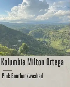 kawa speciality Good Coffee - Kolumbia Milton Ortega, Washed- 250g